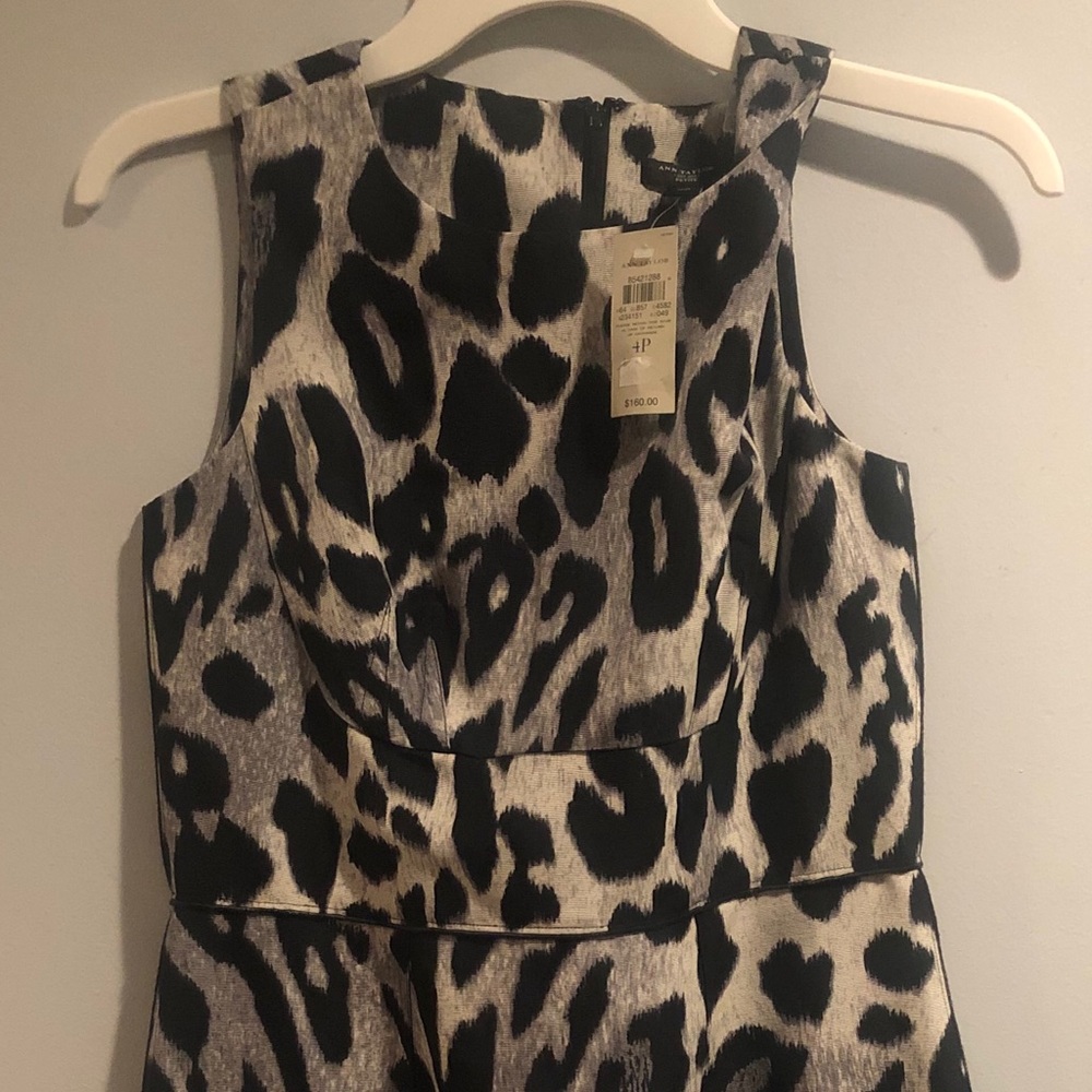 Ann Taylor 4 Petite